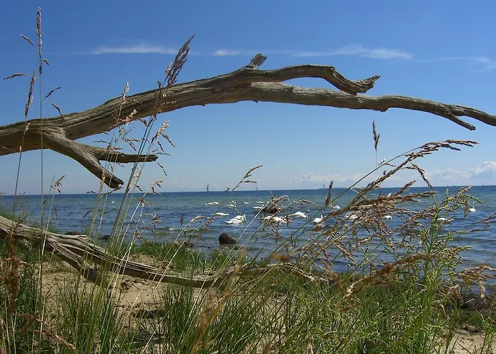 Boddenhus Casa de Férias